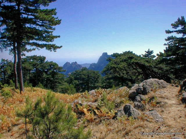 Maquis corso e di montagna, la Corsica