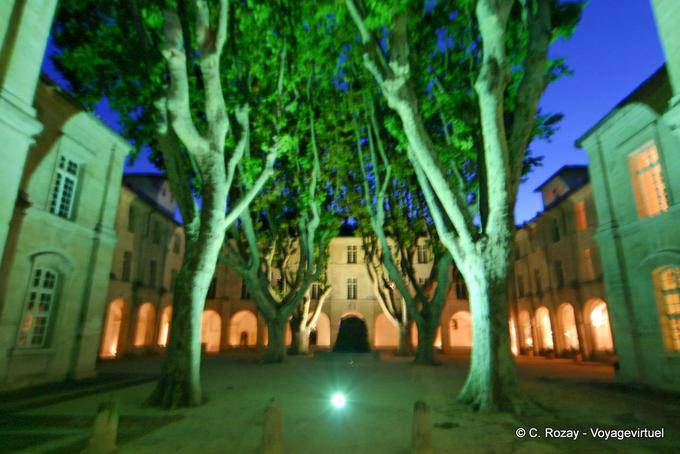 Avignone by-night, Provenza, Francia