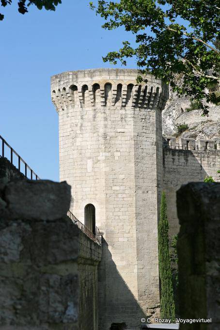 I cani si rivolgono al Ponte San Benezet, Avignone, Provenza, Francia