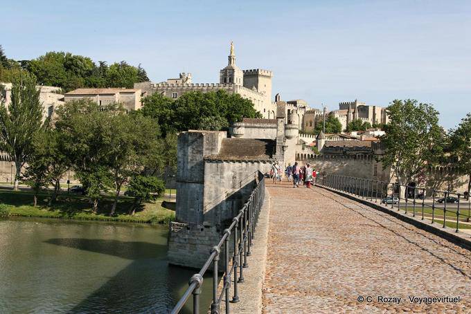 Vista dalla città papale di Avignone ponte, Provenza, Francia