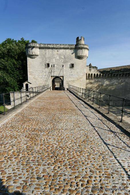 Piccoli ciottoli pavimentazione del ponte di Avignone e la torre Châtelet, Provenza, Francia