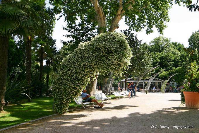 Giardino ombreggiato, Avignon, Provenza, Francia