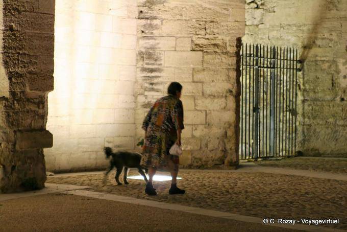 Passeggiata cane nocture in un lucernario, Avignon, Provenza, Francia