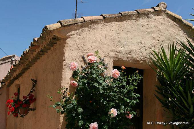 La Garde-Freinet, rose davanti alla casa, Provenza, Francia