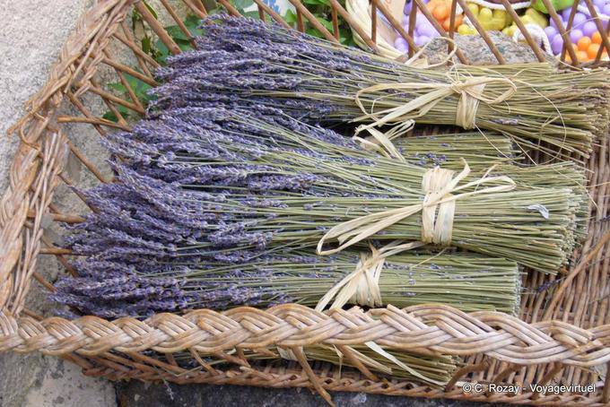 Ramatuelle, mazzi di lavanda, Provenza, Francia