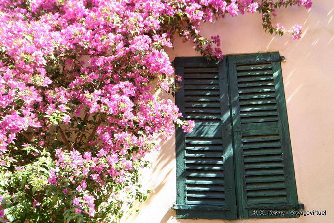 Ramatuelle persiane, Provenza, Francia