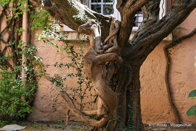 Saint-Tropez, radice di animale, scultura albero, Provenza, Francia