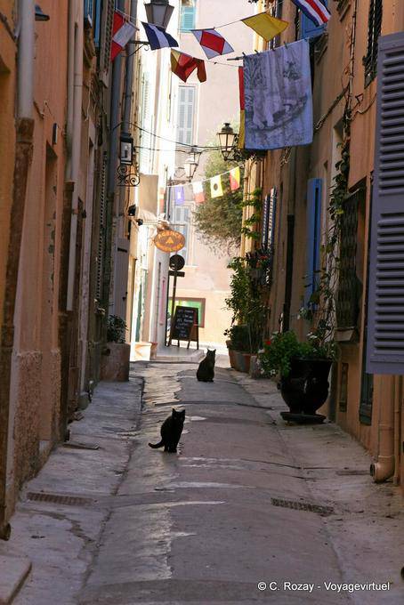 Saint-Tropez, gatti neri vicolo, Provenza, Francia