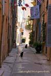 Saint-Tropez, gatti neri vicolo, Francia.