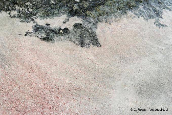 Sabbia grigio e rosa bianca, Elafonissi - Creta, Grecia