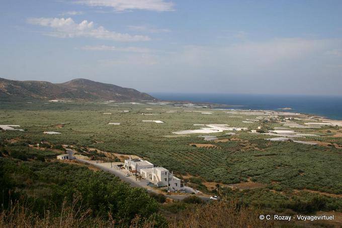 Raccolti nella piana di Falasarna - Creta, Grecia