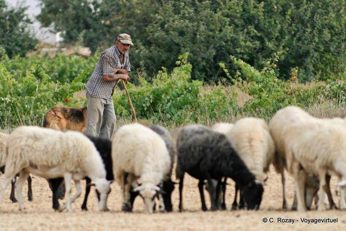 Pastore appoggiandosi al bastone tradizionale, Lassithi - Creta, Grecia