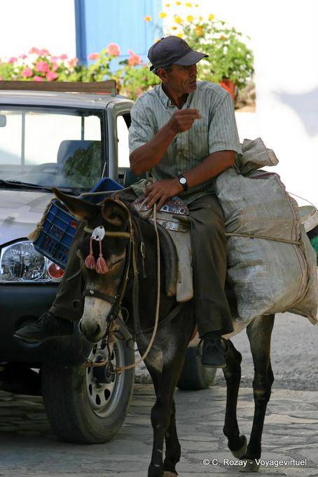 Farmer sul trasporto locale, Oropedio Lassithiou - Creta, Grecia