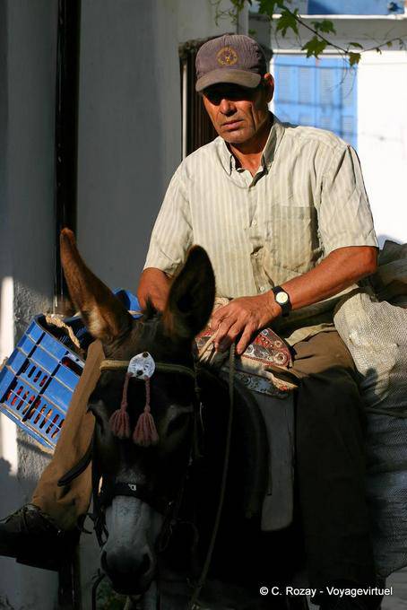 Lassithi, un'altra visione di uomo che cavalca un asino - Creta, Grecia