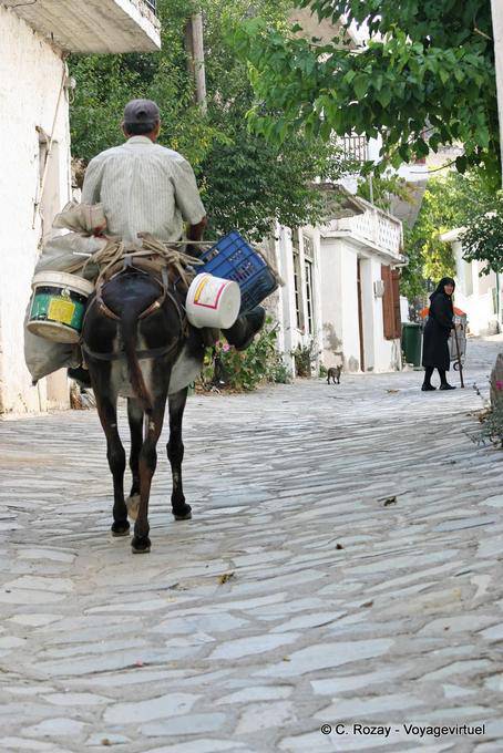 La vita quotidiana in una strada del villaggio, Oropedio Lassithiou - Creta, Grecia