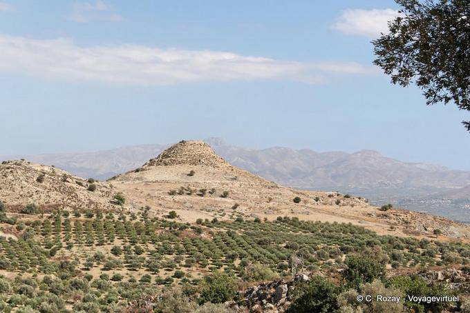 Piantagione Olive a Magarikari - Creta, Grecia