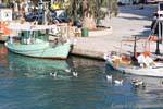 Anatre sul canale, Georgioupoli, Creta.