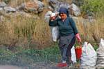 Donna che trasportano patate al momento del raccolto, Lassithi Plateau, Creta.