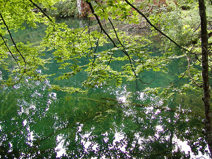 Riflessione verde in verde acqua, Plitvice, Croazia