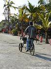 Triciclo e canna da zucchero sulla spiaggia, Boca Chica, Rep. Dominicana.