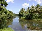 Fiume Jungle, Rep. Dominicana.