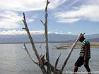 Solitudine e legno morto, Lago Enriquillo, Rep. Dominicana.