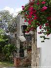 Vicolo fiorito nel quartiere coloniale di Santo Domingo, Rep. Dominicana.