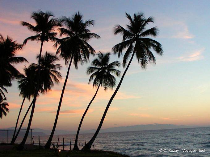 Palme da cocco di fronte al Bahia de Neiba prima Barahona, Rep. Dominicana