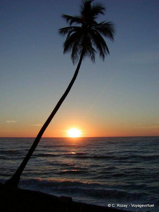 Palma sul tramonto, costa de Barahona (Playa Azul), Rep. Dominicana
