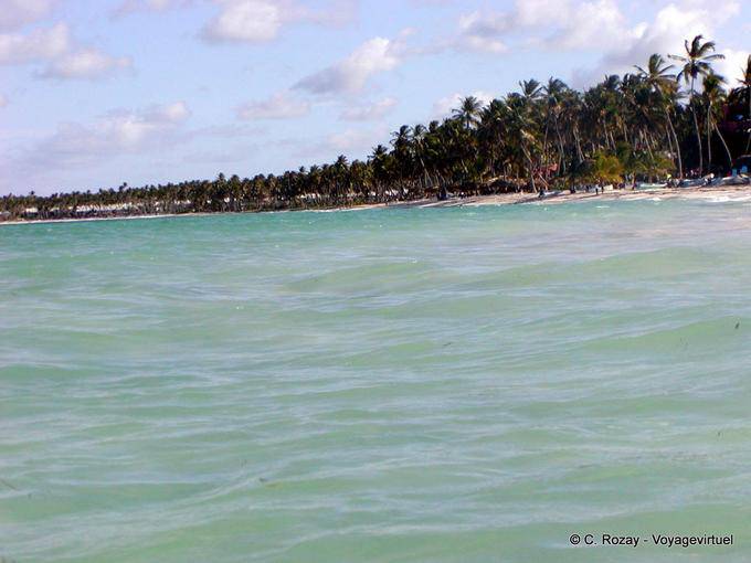 Coconut Piantati Bavaro, Punta Cana costa nord, Rep. Dominicana