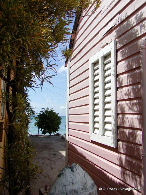 Rosa scatola sulla spiaggia, Bayahibe, Rep. Dominicana