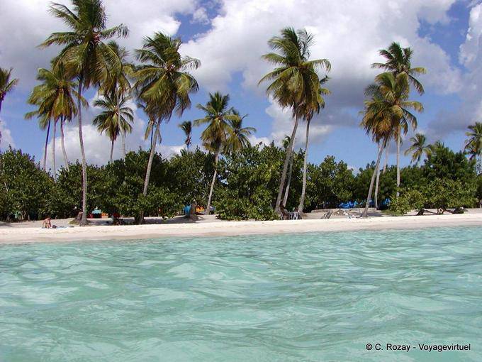 Palme sulla playa Bayahibe, Rep. Dominicana