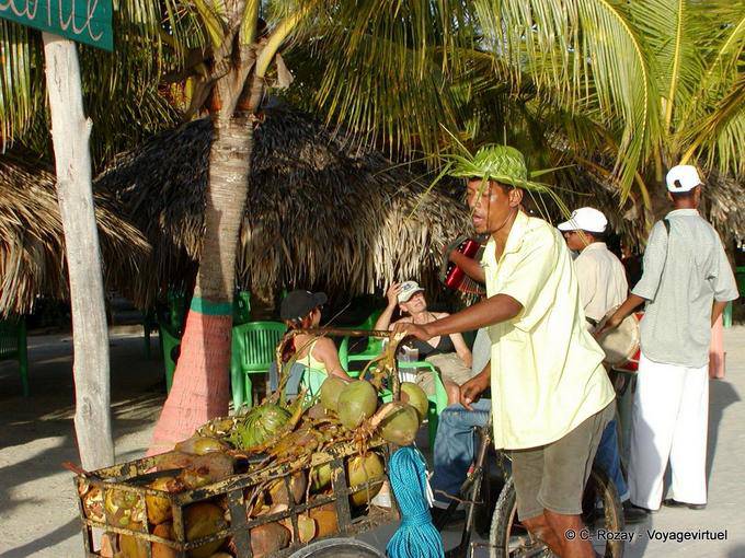 Cocos venditore ambulante ed il suo triciclo, Boca Chica, Rep. Dominicana