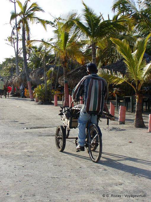 Triciclo e canna da zucchero sulla spiaggia, Boca Chica, Rep. Dominicana