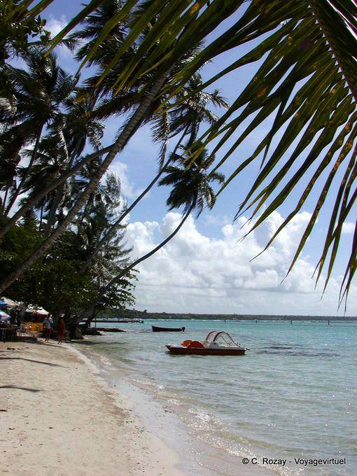 Pedalò, Boca Chica, Rep. Dominicana