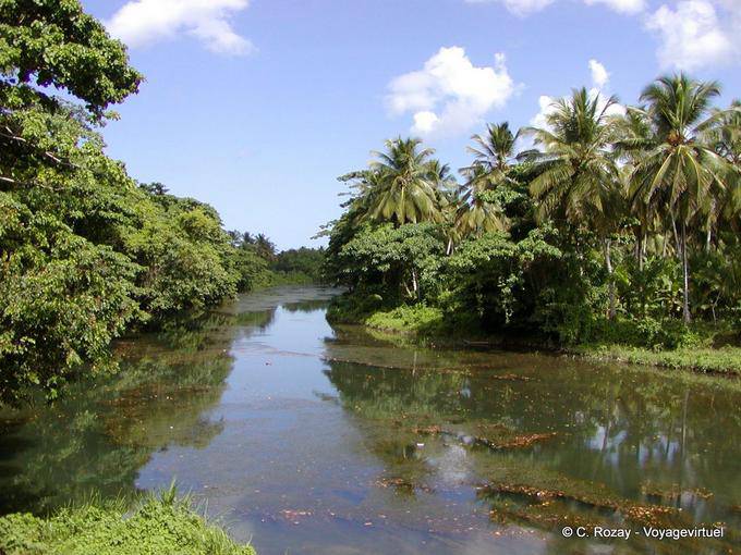 Fiume Jungle, Rep. Dominicana