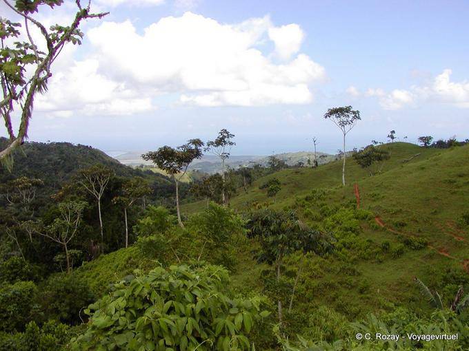 Paesaggio collinare sulla strada per El Seibo, Rep. Dominicana