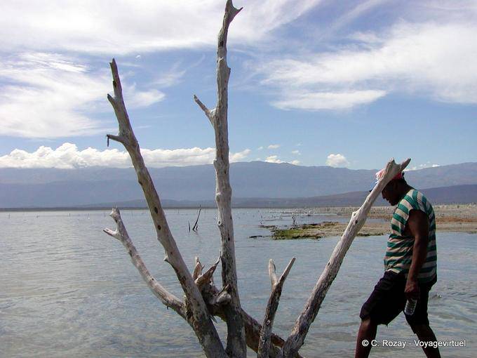 Solitudine e legno morto, Lago Enriquillo, Rep. Dominicana
