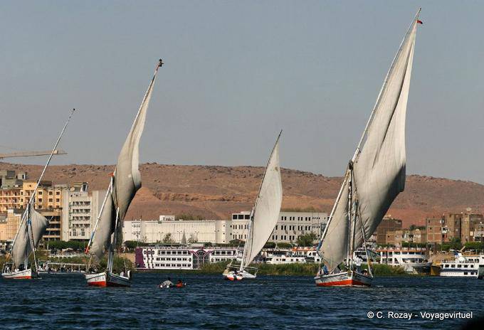 Feluccas rivolgendosi a vento, Aswan - Egitto