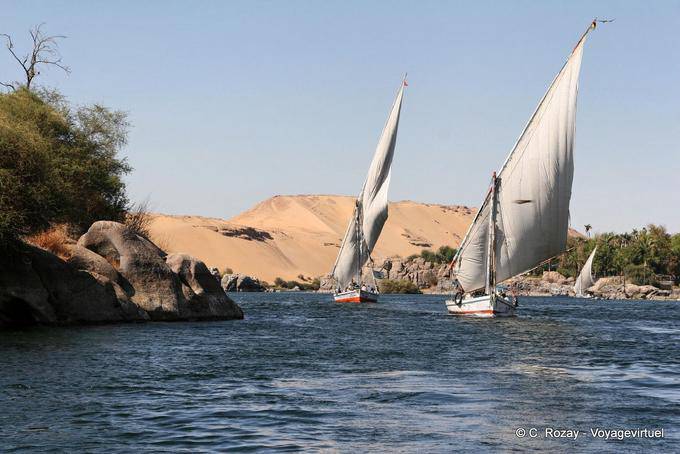 Tra due isole, gara feluche, Aswan - Egitto