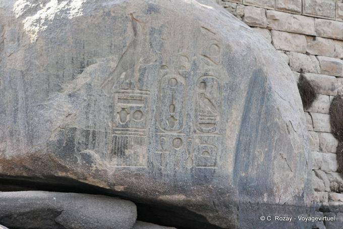 Cartuccia Faraone su una roccia di Elephantine Island, Assuan - Egitto