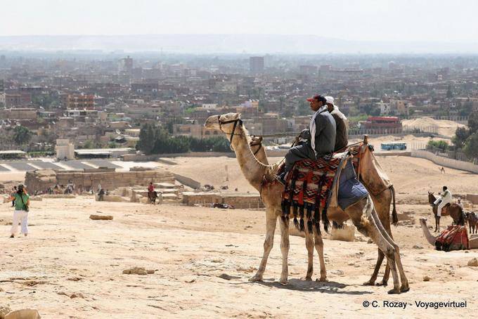 Cammello di fronte a un panorama di Cairo - Egitto