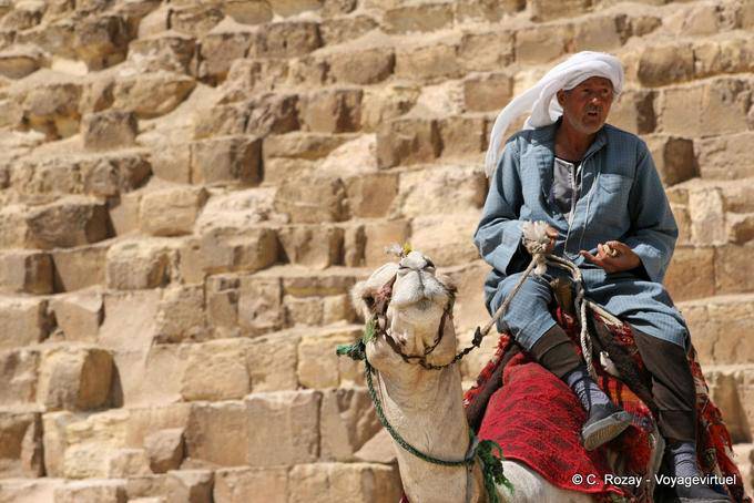 Cammello davanti ai blocchi della piramide Cheope - Egitto