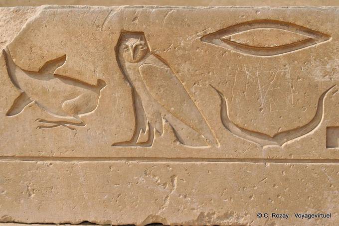 Goose sollievo owl of Saqqarah - Egitto