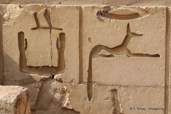 Rilievi sul muro del complesso funerario, Saqqara - Egitto