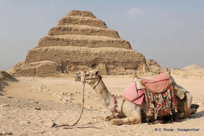 Camel ai piedi della piramide, Saqqara - Egitto