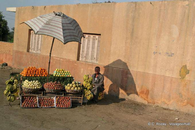 Piccolo mercato di frutta sul bordo della strada, Saqqara, Il Cairo - Egitto