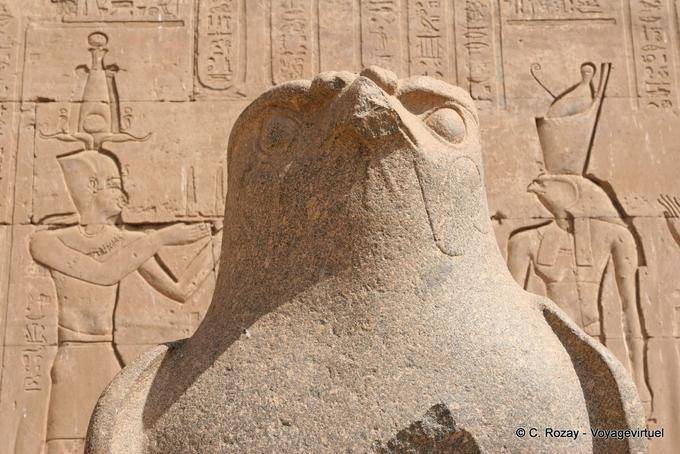 Statua del dio falco Horus (close-up), entrato nel tempio, Edfu - Egitto