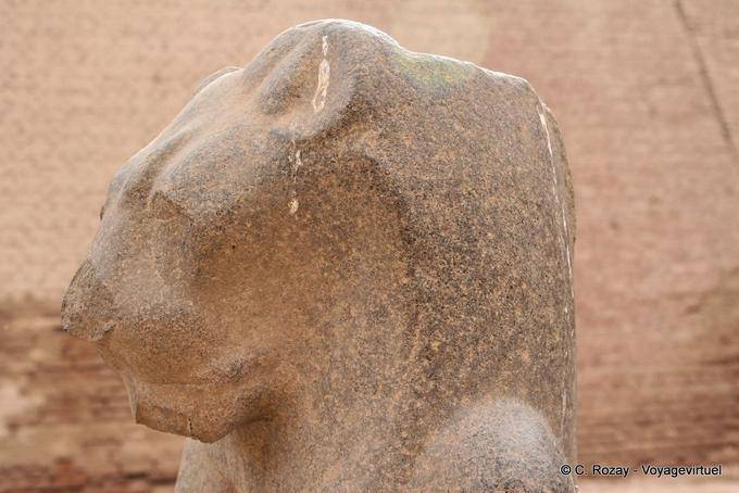Goddess Menhit (Menhyt), consorte di Khnum, Tempio Esna - Egitto