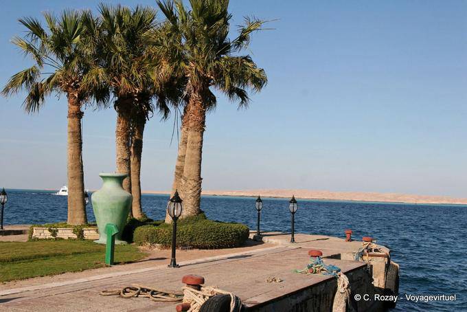Sul molo, palme e grande vaso, Hurghada - Egitto